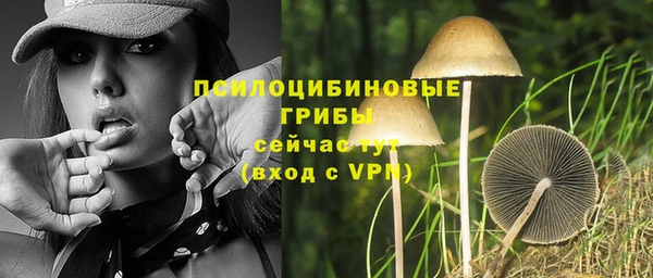 экстази Абаза