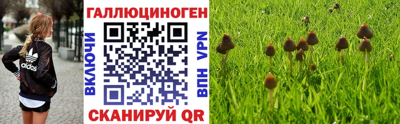 Псилоцибиновые грибы мухоморы что такое наркотик маркетплейс клад Ермолино